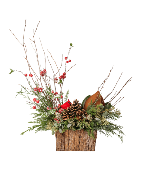 Cardinal sits centerstage in rustic greenery and berries.